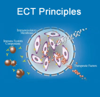 Εικόνα 3: Απεικόνιση αρχής λειτουργίας έγκλειστων κυττάρων